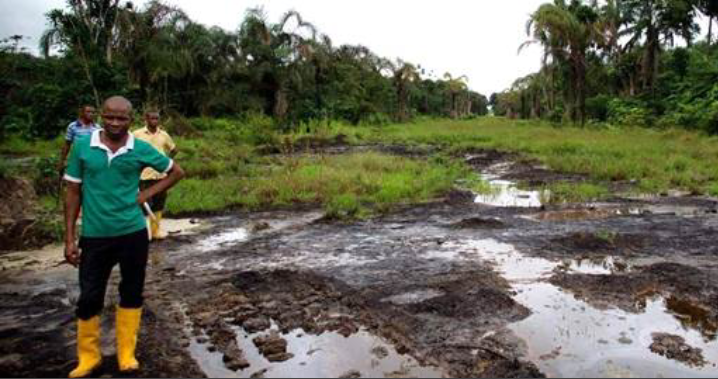 Niger Delta
