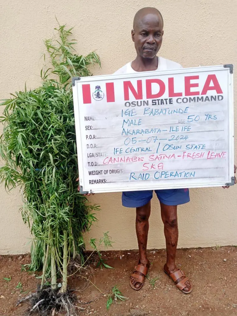 NDLEA ararests Osun monarch