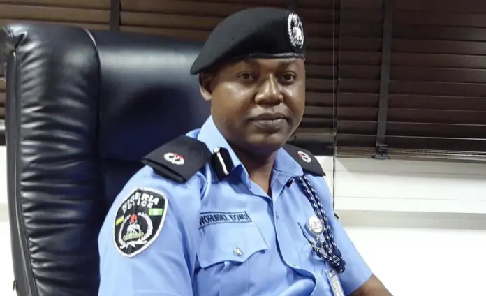 IGP orders probe of 2 AIGs, 5 other top officers for alleged falsification of service records 1 AIG Idowu Owohunwa